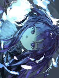  1girl collar collared_shirt commentary_request dot_nose fern_(sousou_no_frieren) frilled_collar frills highres light_frown long_hair looking_at_viewer portrait purple_hair shirt sideways solo sousou_no_frieren sui_(sub072132187053) violet_eyes white_shirt wispy_bangs 
