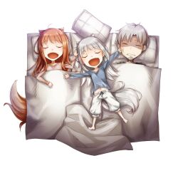  1boy 2girls absurdres animal_ear_fluff animal_ears ayakura_juu blanket chibi craft_lawrence family father_and_child father_and_daughter game_asset grey_hair highres holo mother_and_child mother_and_daughter multiple_girls non-web_source parent_and_child sleeping spice_and_wolf tail wolf_ears wolf_girl wolf_tail 