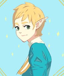  1girl alternate_hair_length_(shorter) aqua_background blonde_hair closed_mouth commentary english_commentary eyelashes green_eyes highres lips octavius_(octavius_dp) pixie_cut pointy_ears princess_zelda short_hair simple_background smile solo sparkle the_legend_of_zelda the_legend_of_zelda:_tears_of_the_kingdom thick_eyebrows very_short_hair 