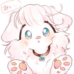  1girl animal_hands blue_eyes body_fur cat_girl cocri commentary_request ears_down furry furry_female hands_up highres neck_fur original petal_on_nose princess_koyuki_(cocri) simple_background solo translation_request upper_body white_background white_fur white_hair 