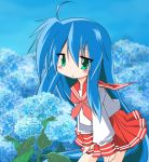 ahoge blue_hair blush flower green_eyes izumi_konata kei_(fortune) long_hair lucky_star school_uniform serafuku skirt 
