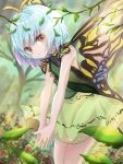  1girl antennae backless_outfit bangs blue_hair blue_nails blurry blurry_background butterfly_wings commentary_request cowboy_shot day eternity_larva eyebrows_visible_through_hair fingernails flower forest green_shirt highres kayon_(touzoku) leaf leaf_on_head leaning_forward light_rays looking_at_viewer nail_polish nature outdoors own_hands_together red_eyes red_flower shirt short_hair skirt smile solo standing sunbeam sunlight touhou tree wings yellow_skirt 