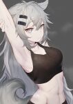  1girl absurdres animal_ears arknights armpits arms_up bangs bare_shoulders bra_through_clothes collarbone crop_top eyebrows_visible_through_hair grey_background grey_eyes hair_between_eyes hair_ornament hairclip highres lappland_(arknights) long_hair looking_at_viewer midriff navel scar scar_across_eye scar_on_stomach shiliuyexiaohei silver_hair simple_background solo sports_bra stitches stomach tail upper_body very_long_hair wolf_ears wolf_tail 