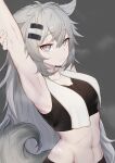  1girl absurdres animal_ears arknights armpits arms_up bangs bare_shoulders bra_through_clothes collarbone crop_top eyebrows_visible_through_hair grey_background grey_eyes hair_between_eyes hair_ornament hairclip highres lappland_(arknights) long_hair looking_at_viewer midriff navel scar scar_across_eye scar_on_stomach shiliuyexiaohei silver_hair simple_background solo sports_bra stitches stomach tail towel towel_around_neck upper_body very_long_hair wolf_ears wolf_tail 
