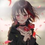  1girl bang_dream! black_hair blush flower holding holding_flower looking_at_viewer mitake_ran mizukikushou multicolored_hair open_mouth petals red_eyes redhead short_hair solo streaked_hair upper_body 