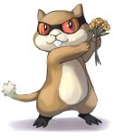  commentary creature english_commentary flower full_body gen_5_pokemon highres holding holding_flower looking_at_viewer no_humans patrat pokemon pokemon_(creature) red_eyes shadow solo standing transparent_background tyma_(mtymas) 