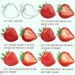  commentary english_commentary english_text floortjesart food fruit how_to no_humans original procreate_(medium) realistic signature simple_background still_life strawberry white_background 
