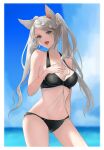  1girl animal_ears bare_shoulders bikini bikini_bottom bikini_top black_swimsuit blue_nails braid collarbone erune fraux granblue_fantasy grey_hair hand_on_own_chest highres long_hair looking_at_viewer muji_pic navel open_mouth sky solo swimsuit twintails 