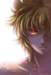  1boy backlighting bangs blonde_hair closed_mouth collarbone crosstear hair_between_eyes highres leo_aiolia looking_at_viewer male_focus red_eyes saint_seiya shiny shiny_hair short_hair simple_background solo twitter_username white_background 