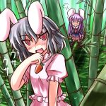  bunny_ears inaba_tewi rabbit_ears reisen_udongein_inaba tokiniwa touhou 