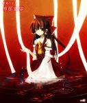  1girl hakurei_reimu leaf leaves nr_(cmnrr) touhou water 