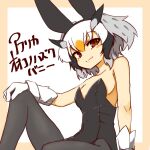  1girl 370ml alternate_costume animal_ears bangs beige_border black_legwear black_leotard border breasts brown_eyes character_name closed_mouth commentary fake_animal_ears gloves grey_hair hand_on_own_knee head_wings kemono_friends knee_up leaning_back leotard looking_at_viewer multicolored_hair northern_white-faced_owl_(kemono_friends) orange_hair pantyhose playboy_bunny rabbit_ears short_hair sitting small_breasts smile solo strapless strapless_leotard translated white_background white_gloves white_hair 