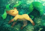  brown_eyes commentary_request from_above full_body gen_4_pokemon grass kikuyoshi_(tracco) leafeon looking_at_viewer lying no_humans on_side one_eye_closed paws pokemon pokemon_(creature) smile solo 