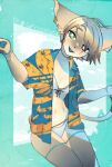  1girl :d animal_ears bikini blue_background blue_tongue colored_skin furry green_eyes grey_fur grey_skin halftone hands_up head_tilt heterochromia highres invisible_chair kuroi-chan_(kuroi_moyamoya) kuroi_moyamoya looking_at_viewer navel open_clothes open_mouth open_shirt original red_eyes short_sleeves sitting smile solo star-shaped_pupils star_(symbol) swimsuit symbol-shaped_pupils tail white_bikini wristband 