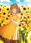  1girl absurdres blue_eyes blurry blurry_background brown_hair brown_legwear day dress flower hands_together highres holding holding_flower idolmaster idolmaster_million_live! kyahagood outdoors short_hair solo standing sunflower suou_momoko wind yellow_dress 
