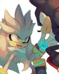  commentary english_commentary eye_contact frown highres looking_at_another no_humans salanchu serious shadow_the_hedgehog silver_the_hedgehog simple_background smile sonic_the_hedgehog violet_eyes white_background yellow_eyes 