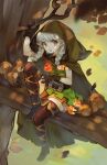  1girl alpaca_carlesi apple boots braid brown_eyes cloak commentary dragon&#039;s_crown elf elf_(dragon&#039;s_crown) english_commentary food fruit gloves grey_hair highres hood hooded_cloak in_tree long_hair pointy_ears shorts sitting sitting_in_tree solo squirrel thigh-highs thigh_boots tree tree_branch twin_braids 