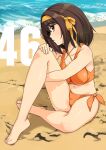  1girl absurdres bangs bikini breasts brown_eyes brown_hair eyebrows_visible_through_hair hair_ornament hairband haruhisky highres medium_breasts medium_hair orange_bikini shiny shiny_hair shiny_skin simple_background solo suzumiya_haruhi suzumiya_haruhi_no_yuuutsu swimsuit yellow_hairband 