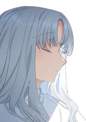  1girl absurdres capelet caren_hortensia closed_eyes closed_mouth commentary_request facing_ahead fate/hollow_ataraxia fate_(series) highres light_particles long_hair noko_morokoshi nun parted_bangs portrait profile simple_background solo wavy_hair white_background white_capelet white_hair 