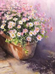  absurdres commentary_request daisy_(flower) flower flower_focus highres kazuyuki_hashimoto no_humans original painting_(medium) pink_flower plant plant_focus potted_plant scenery shadow still_life traditional_media watercolor_(medium) 