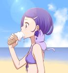  1girl animal_on_shoulder beach bikini bikini_top blue_sky bust cat_on_shoulder davi_(dokidoki!_precure) dokidoki!_precure eating food hair_ornament hairclip ice_cream kenzaki_makoto ocean ogry_ching precure profile purple_hair short_hair sky swimsuit violet_eyes 