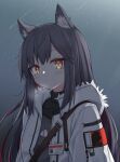  1girl animal_ears arknights bangs black_hair blush commentary eyebrows_visible_through_hair grey_shirt jacket long_hair looking_at_viewer official_alternate_costume open_clothes open_jacket risshu shirt solo texas_(arknights) texas_(winter_messenger)_(arknights) upper_body white_jacket wolf_ears yellow_eyes 