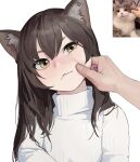  1girl :&lt; animal_ear_fluff animal_ears brown_hair cat cat_ears cheek_pinching derivative_work dongho_kang head_tilt highres long_hair looking_at_viewer original photo-referenced photo_inset pinching real_life ribbed_sweater simple_background solo_focus sweater turtleneck turtleneck_sweater white_background yellow_eyes 