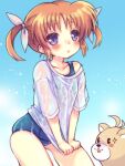  1girl bangs blue_sky blue_swimsuit blush brown_hair chonkoo commentary cowboy_shot day eyebrows_visible_through_hair eyes_visible_through_hair ferret leaning_forward looking_at_viewer lyrical_nanoha mahou_shoujo_lyrical_nanoha no_pants old_school_swimsuit one-piece_swimsuit outdoors school_swimsuit see-through shirt shirt_tug short_hair short_sleeves skindentation sky solo standing swimsuit t-shirt takamachi_nanoha twintails violet_eyes wet wet_clothes wet_shirt white_shirt yuuno_scrya 