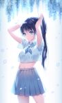  1girl adjusting_hair arms_up ascot bad_id bad_twitter_id bangs black_hair blouse blue_eyes blue_neckwear blue_skirt blurry closed_mouth collared_blouse cowboy_shot expressionless flower hands_in_hair highres hyuding_(hhgy0925) long_hair looking_at_viewer midriff miniskirt navel original petals pleated_skirt ponytail school_uniform short_sleeves skirt solo standing white_blouse wisteria 