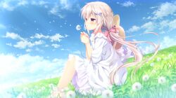  1girl bangs blowing dandelion day dress flower game_cg highres hokenshitsu_no_sensei_to_shabondama_chuudoku_no_joshu holding long_hair official_art on_grass on_ground outdoors santa_matsuri shirobana sitting sleeves_past_elbows solo twintails white_dress white_hair 