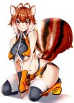  1girl absurdres animal_ears antenna_hair black_legwear blazblue breasts brown_hair chukachuka highres large_breasts looking_at_viewer makoto_nanaya microskirt multicolored_hair navel orange_eyes short_hair simple_background skirt smile split squirrel_ears squirrel_girl squirrel_tail tail thigh-highs two-tone_hair under_boob white_background white_hair 