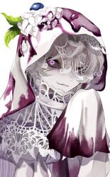  1boy blueberry commentary_request flower food fruit gem gradient_clothes gradient_sleeves hair_between_eyes hand_up highres hirrune hood identity_v ithaqua_(identity_v) lace lace_veil leaf long_sleeves looking_at_viewer male_focus pearl_(gemstone) petals short_hair simple_background sleeves_past_fingers sleeves_past_wrists smile solo upper_body veil violet_eyes whipped_cream white_background white_flower white_hair 