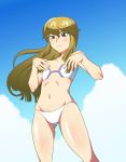  1girl bikini blush brown_hair flat_chest kugimiya_kei long_hair majestic_prince navel solo swimsuit 