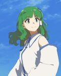  1girl bangs bare_shoulders blue_sky blunt_bangs blush breasts closed_mouth clouds collared_shirt commentary detached_sleeves ears eyebrows_visible_through_hair floating_hair frog_hair_ornament green_eyes green_hair hair_ornament hair_tubes highres kochiya_sanae long_hair long_sleeves looking_away looking_to_the_side medium_hair shiratama_(hockey) shirt sidelocks sky sleeveless sleeveless_shirt small_breasts smile snake_hair_ornament solo symbol_commentary tareme touhou upper_body white_shirt wing_collar 