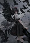  1girl adapted_costume bird bird_wings black_hair black_legwear black_skirt black_wings crow expressionless feathered_wings fkey floating_hair hat highres looking_at_viewer looking_back medium_hair outdoors pom_pom_(clothes) red_eyes red_headwear shameimaru_aya shirt short_sleeves skirt solo standing tokin_hat touhou white_shirt wings 