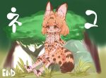  absurdres animal_ear_fluff animal_ears belt black_belt bow bowtie brown_eyes elbow_gloves gloves hair_behind_ear hands_together highres huge_filesize kemono_friends notora rock serval_(kemono_friends) serval_ears serval_print serval_tail shirt_tucked_in short_hair sitting tail thigh-highs tree 