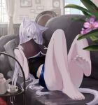  1girl absurdres animal_ears aqua_eyes bangs barefoot book clock covered_mouth cup day eyebrows_visible_through_hair flower grey_hair grey_tail hair_between_eyes highres holding holding_book leg_up long_hair looking_at_viewer lying mikisai original painting_(object) shorts sidelocks soles solo tail thighs toes 