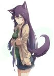  1girl animal_ears bangs breasts closed_mouth eyebrows_visible_through_hair green_eyes hair_between_eyes highres holding long_hair long_sleeves looking_at_viewer medium_breasts mikisai original pulled_by_self purple_hair purple_tail sidelocks simple_background smile solo tail white_background 