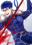  1boy abs armor beads blue_hair bodysuit bulge cu_chulainn_(fate)_(all) earrings fang fate/stay_night fate_(series) fighting_stance floating_hair gae_bolg hair_beads hair_ornament holding holding_polearm holding_weapon jewelry lancer long_hair looking_to_the_side male_focus muscular open_mouth pauldrons pectorals polearm ponytail red_eyes shoulder_armor simple_background skin_tight solo spiky_hair type-moon weapon yanaki_(ynyaan_3) 
