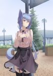  1girl animal_ears bangs blue_hair blue_tail breasts day eyebrows_visible_through_hair garter_straps hair_between_eyes hand_up highres holding holding_phone looking_away mikisai open_mouth original outdoors phone sidelocks small_breasts solo tail thigh-highs violet_eyes 