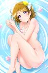  1girl barefoot bikini breasts brown_hair hair_ornament highres kirisaki_reina koizumi_hanayo looking_at_viewer love_live! love_live!_school_idol_project lying medium_breasts on_side petals short_hair solo striped striped_bikini swimsuit violet_eyes 