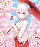  1girl bangs blue_eyes blurry blurry_background blush breasts bug butterfly cherry_blossoms chihaya_(clothing) clouds cloudy_sky day eyebrows_visible_through_hair falling_petals flower hair_between_eyes hair_flower hair_ornament hakama insect japanese_clothes long_sleeves looking_at_viewer miko original parasol petals red_hakama short_hair sidelocks sky smile solo spring_(season) tsukiko_neko umbrella white_hair wide_sleeves 