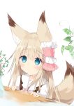  1girl animal_ear_fluff animal_ears bangs blue_eyes blush closed_mouth collared_shirt commentary_request eyebrows_visible_through_hair fox_ears fox_girl fox_tail hair_between_eyes hands_up highres kushida_you light_brown_hair long_hair original plant shirt simple_background solo suspenders tail upper_body vase white_background white_shirt 