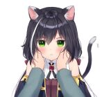  1girl :i animal_ear_fluff animal_ears anz32 bangs bare_shoulders black_hair black_sleeves blush bow brown_bow cat_ears cat_girl cat_tail closed_mouth collared_shirt commentary_request detached_sleeves eyebrows_visible_through_hair green_eyes hair_between_eyes hair_bow hands_on_another&#039;s_cheeks hands_on_another&#039;s_face karyl_(princess_connect!) long_hair long_sleeves looking_at_viewer low_twintails multicolored_hair out_of_frame princess_connect! princess_connect!_re:dive shirt simple_background sleeveless sleeveless_shirt solo_focus streaked_hair tail tail_raised twintails twitter_username upper_body white_background white_hair white_shirt 