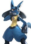  closed_mouth commentary_request from_below gen_4_pokemon hand_up highres legs_apart lucario orange_eyes pokemon pokemon_(creature) solo spikes tesshii_(riza4828) yellow_fur 
