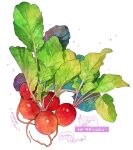  absurdres food food_focus highres leaf momiji_mao no_humans original partially_translated radish signature simple_background still_life translation_request vegetable white_background 