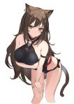  1girl :/ animal_ears arknights arm_under_breasts bare_shoulders black_leotard brown_eyes brown_hair cat_ears cat_tail closed_mouth collarbone cropped_legs frown highres jewelry leaning_forward leotard long_hair looking_at_viewer mizu_(lzzrwi603) o-ring simple_background single_earring skyfire_(arknights) skyfire_(temperature_difference)_(arknights) solo standing tail very_long_hair white_background 