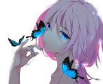 1girl arknights bangs bare_shoulders blue_eyes blue_hair blue_poison_(arknights) bow bug butterfly closed_mouth collarbone eyebrows_visible_through_hair from_side hair_between_eyes hair_bow hand_up highres insect long_hair looking_at_viewer looking_to_the_side nido_(sebamaster) ponytail portrait sidelocks signature solo white_background 
