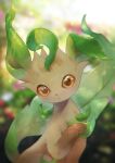  blurry blurry_background brown_eyes closed_mouth commentary_request gen_4_pokemon highres kikuyoshi_(tracco) leafeon looking_at_viewer no_humans paws pokemon pokemon_(creature) solo toes 