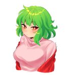  1girl :/ alternate_costume artist_name bangs blush breasts bright_pupils closed_mouth cropped_torso eyebrows_visible_through_hair green_hair highres kazami_yuuka lanalopez92 large_breasts off_shoulder pink_sweater red_eyes short_hair simple_background solo sweater touhou turtleneck turtleneck_sweater upper_body vest white_background white_pupils 